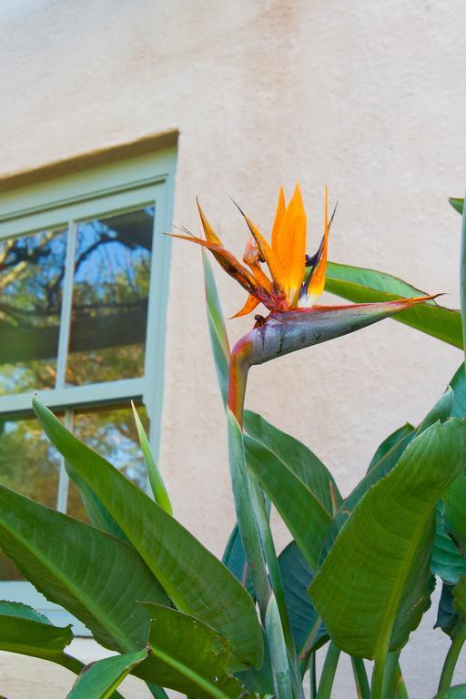 Babette Bed And Breakfast Swellendam Luaran gambar