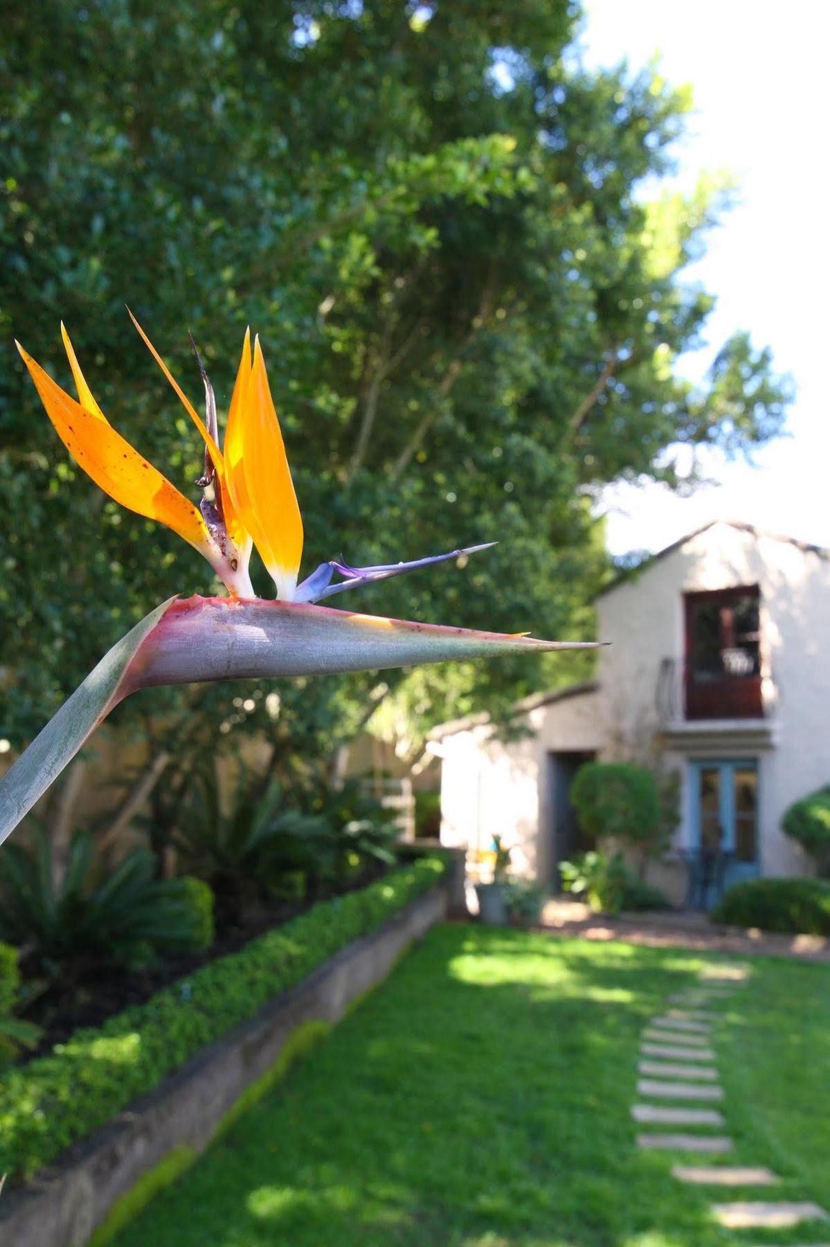 Babette Bed And Breakfast Swellendam Luaran gambar