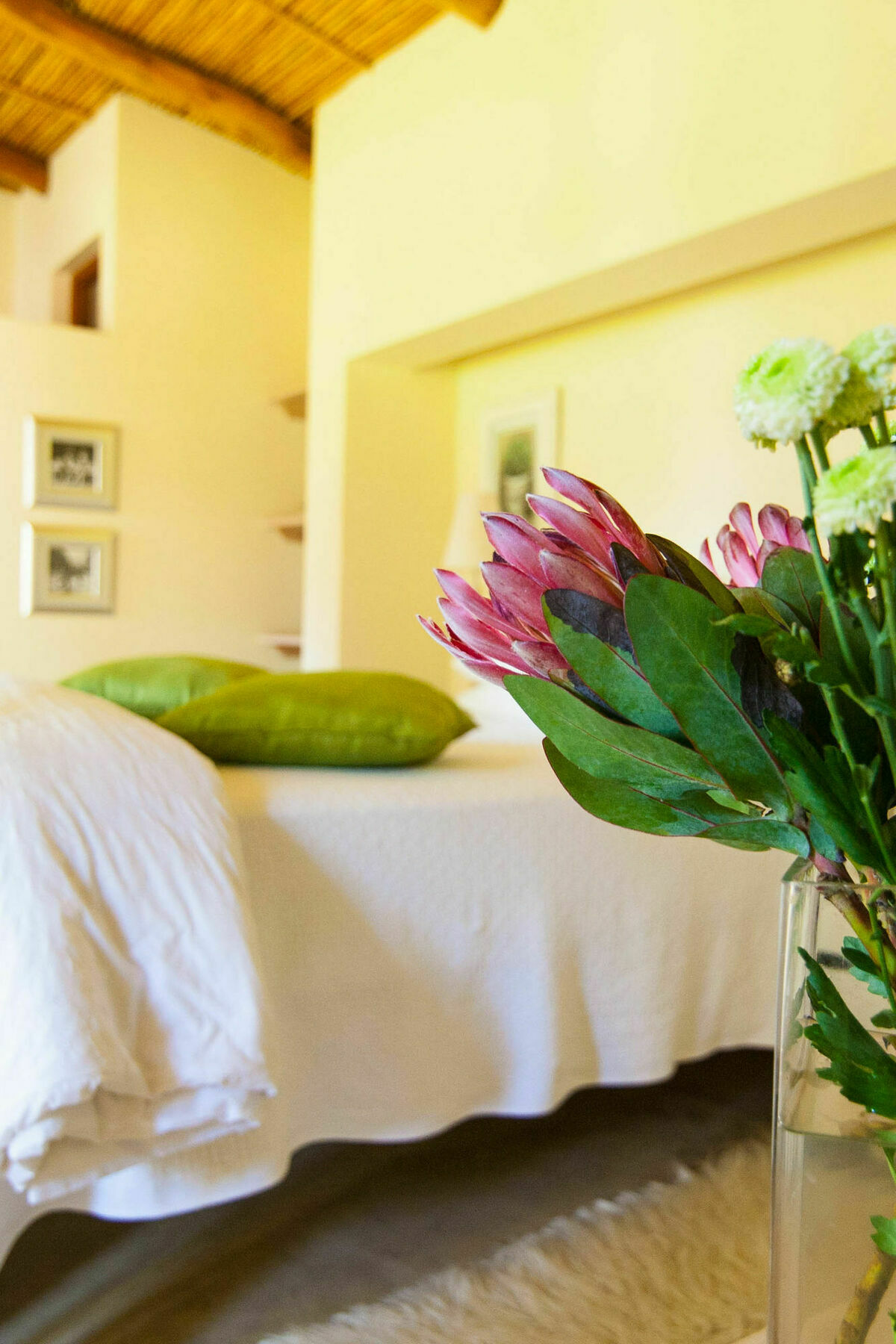 Babette Bed And Breakfast Swellendam Luaran gambar